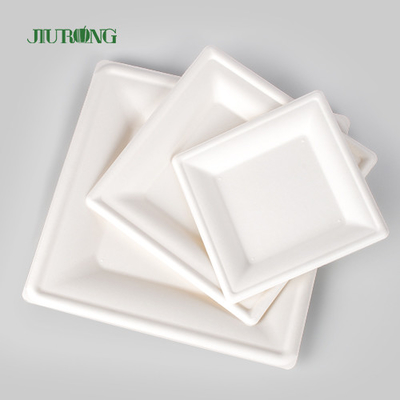 Placa disponible biodegradable de papel de Kraft para la impresión de encargo a granel del partido