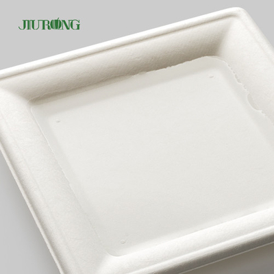 Placa disponible biodegradable de papel de Kraft para la impresión de encargo a granel del partido