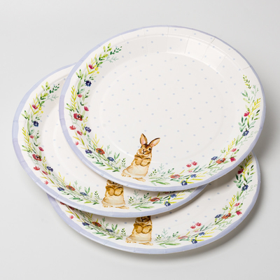El partido lindo disponible del niño de la placa de papel del conejo suministra el sistema del plato