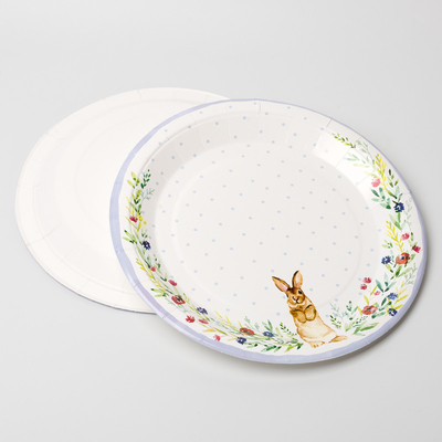El partido lindo disponible del niño de la placa de papel del conejo suministra el sistema del plato