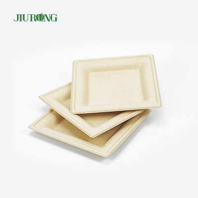 Bandeja biodegradable disponible amistosa del sushi del bagazo del envase de comida de la caña de azúcar de Eco