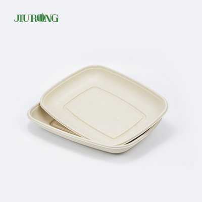 Placa biodegradable de la caña de azúcar del sushi abonable amistoso de la bandeja de la comida de Eco