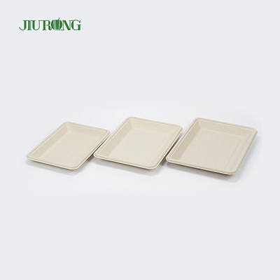 Placas de caña de azúcar biodegradables desechables cuadradas de 160 mm para pan de hamburguesa