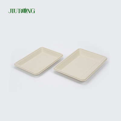 Placas de caña de azúcar biodegradables desechables cuadradas de 160 mm para pan de hamburguesa