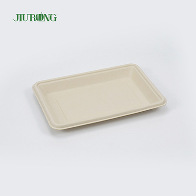 Placas de caña de azúcar biodegradables desechables cuadradas de 160 mm para pan de hamburguesa
