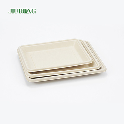 Placas de caña de azúcar biodegradables desechables cuadradas de 160 mm para pan de hamburguesa