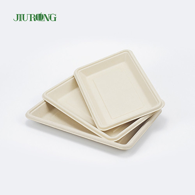 Placas de caña de azúcar biodegradables desechables cuadradas de 160 mm para pan de hamburguesa