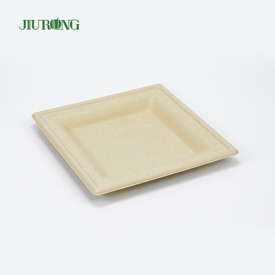 Bandeja biodegradable disponible amistosa del sushi del bagazo del envase de comida de la caña de azúcar de Eco